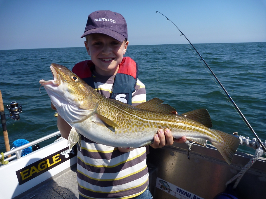 Typischer Ostsee-Dorsch