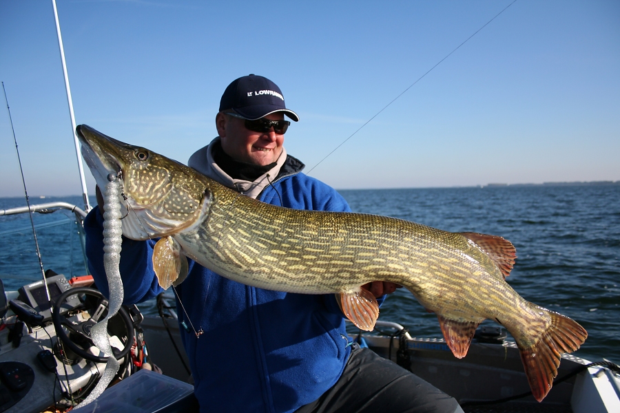 Svartzonker Bigbait-Seminar Svartzonker Bigbait-Seminar