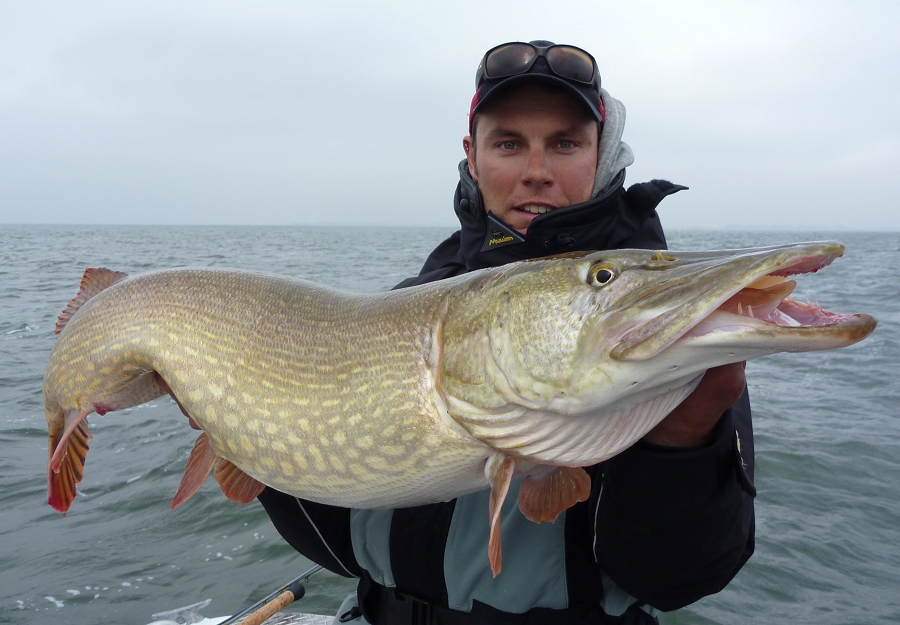 Svartzonker Bigbait-Seminar Svartzonker Bigbait-Seminar